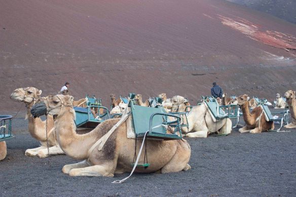 02_Lanzarote_Apr2013