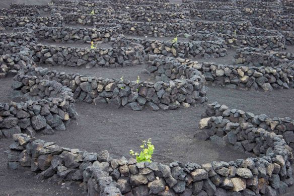 20_Lanzarote_Apr2013