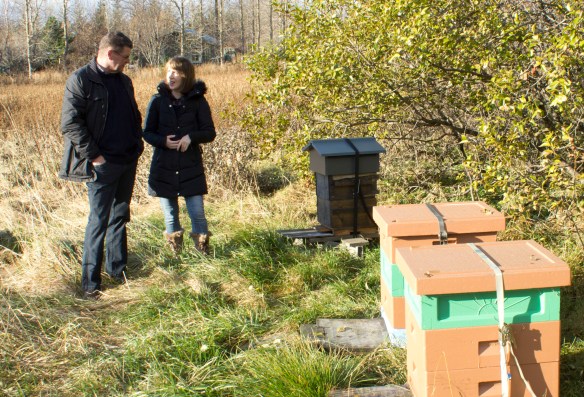 Icelandic bees_7