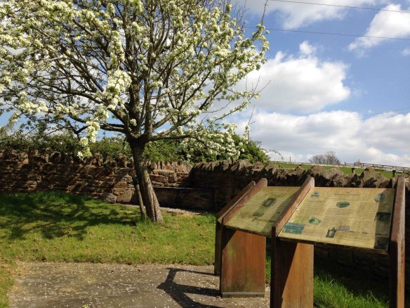 blossom tree next to bee shelter