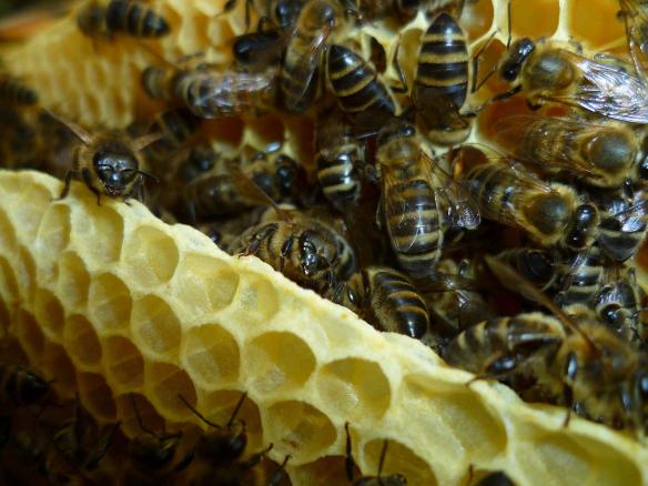 331357_10150371518613383_927758323_o