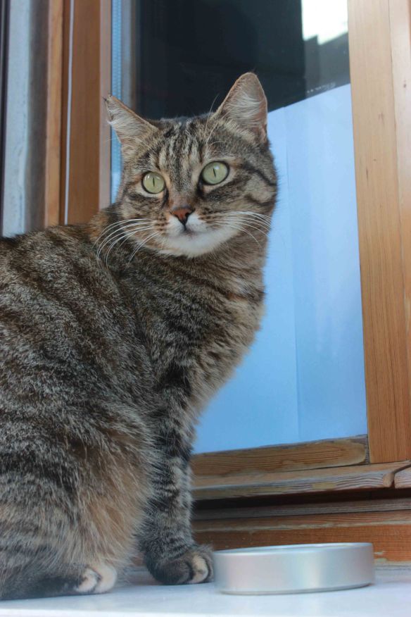 14a Venice_01_EST (17)