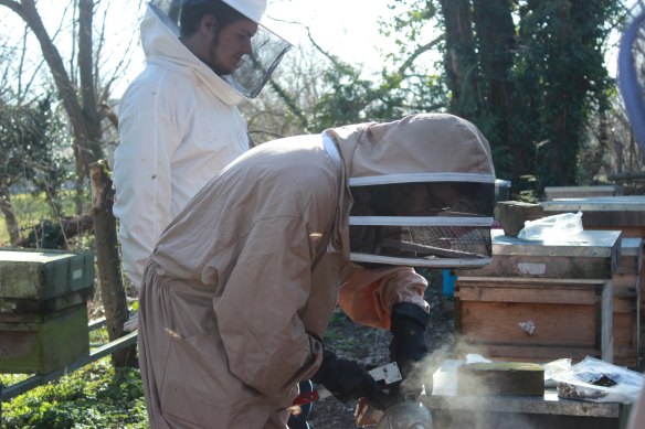 a jonesey beekeeping