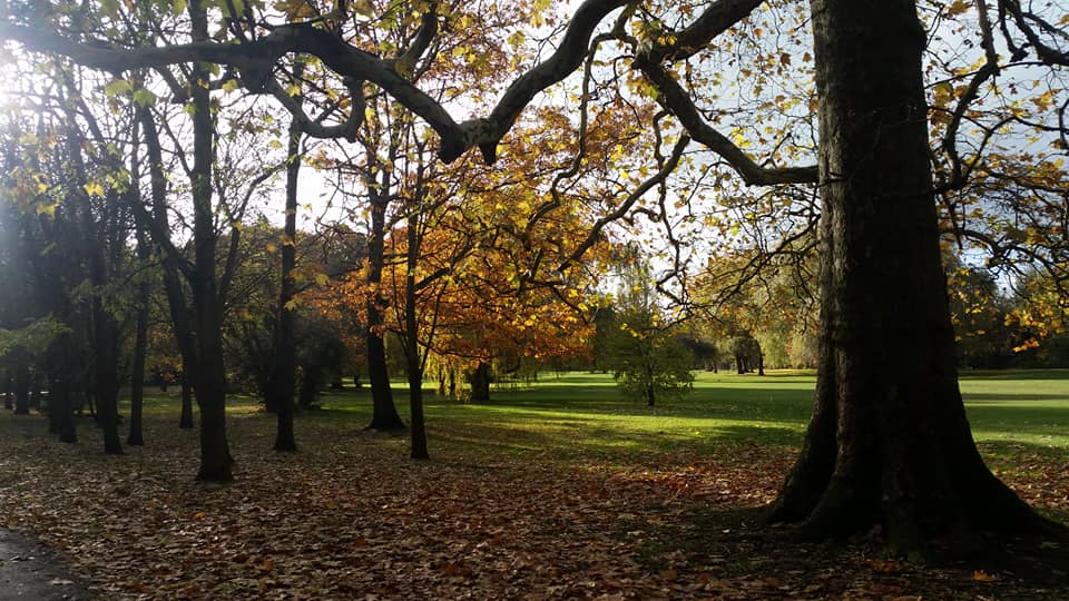 47342075_10156936017178383_5081342801073930240_n